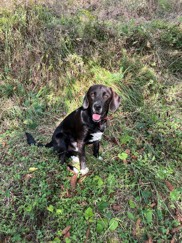 "Il piccolo Olly cerca un grande amore" Foto 6